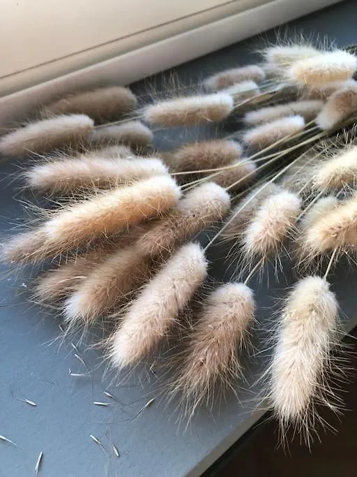 Apartment Seashell Rustig Gelegen Appartement Dichtbij Het Strand Ideaal Voor Gezinnen Ostend